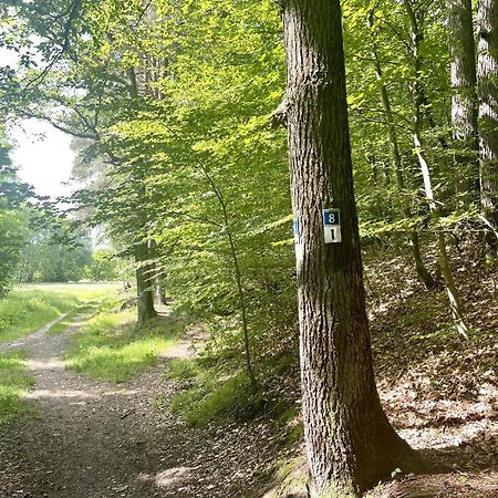Landhotel Hubertus Unterelsbach Dış mekan fotoğraf