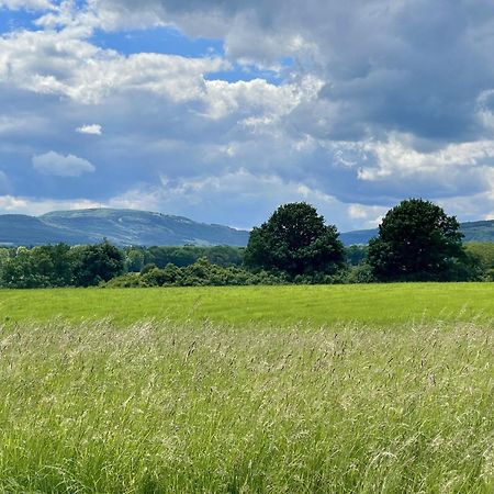 Landhotel Hubertus Unterelsbach Dış mekan fotoğraf