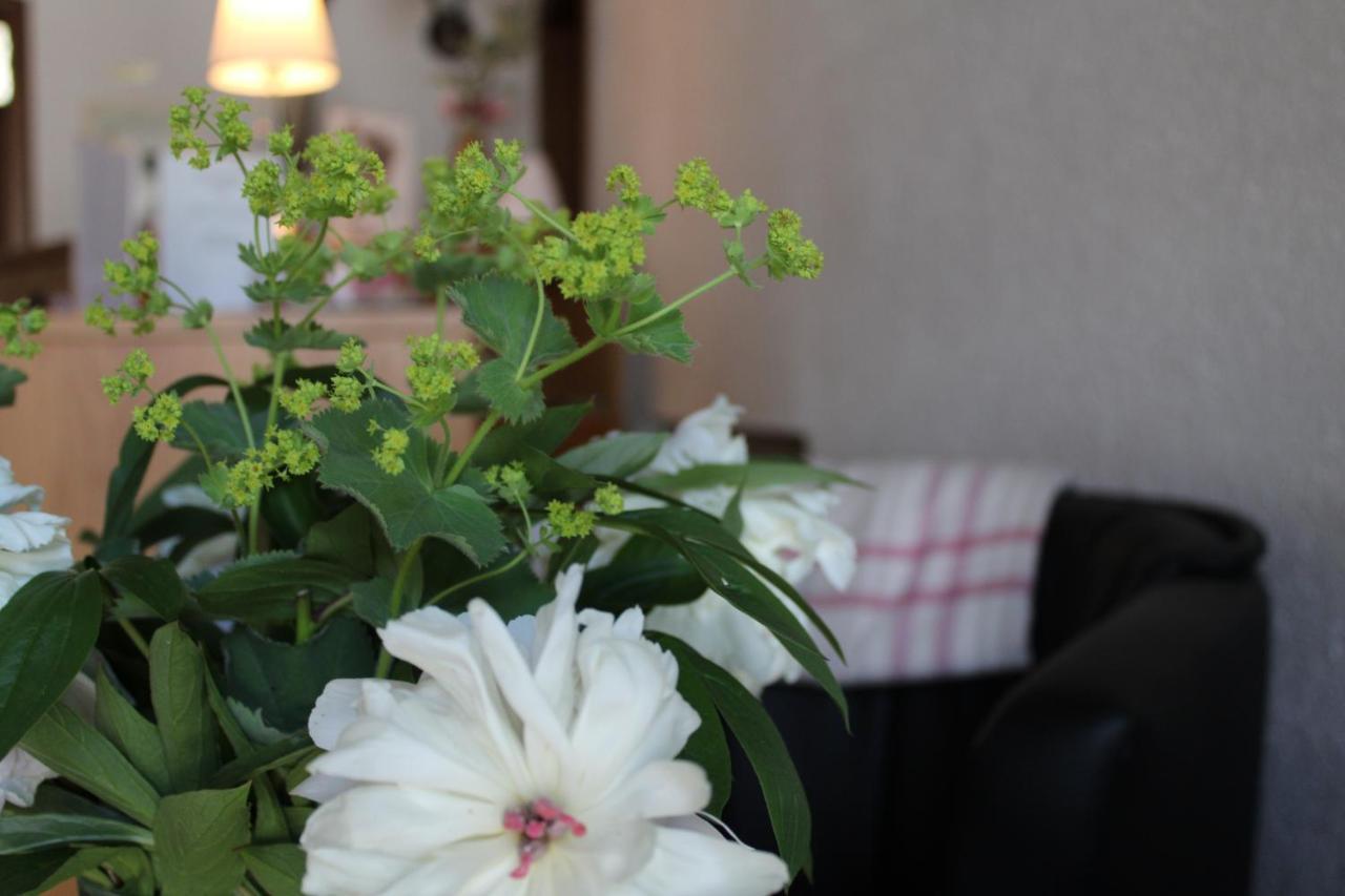 Landhotel Hubertus Unterelsbach Dış mekan fotoğraf