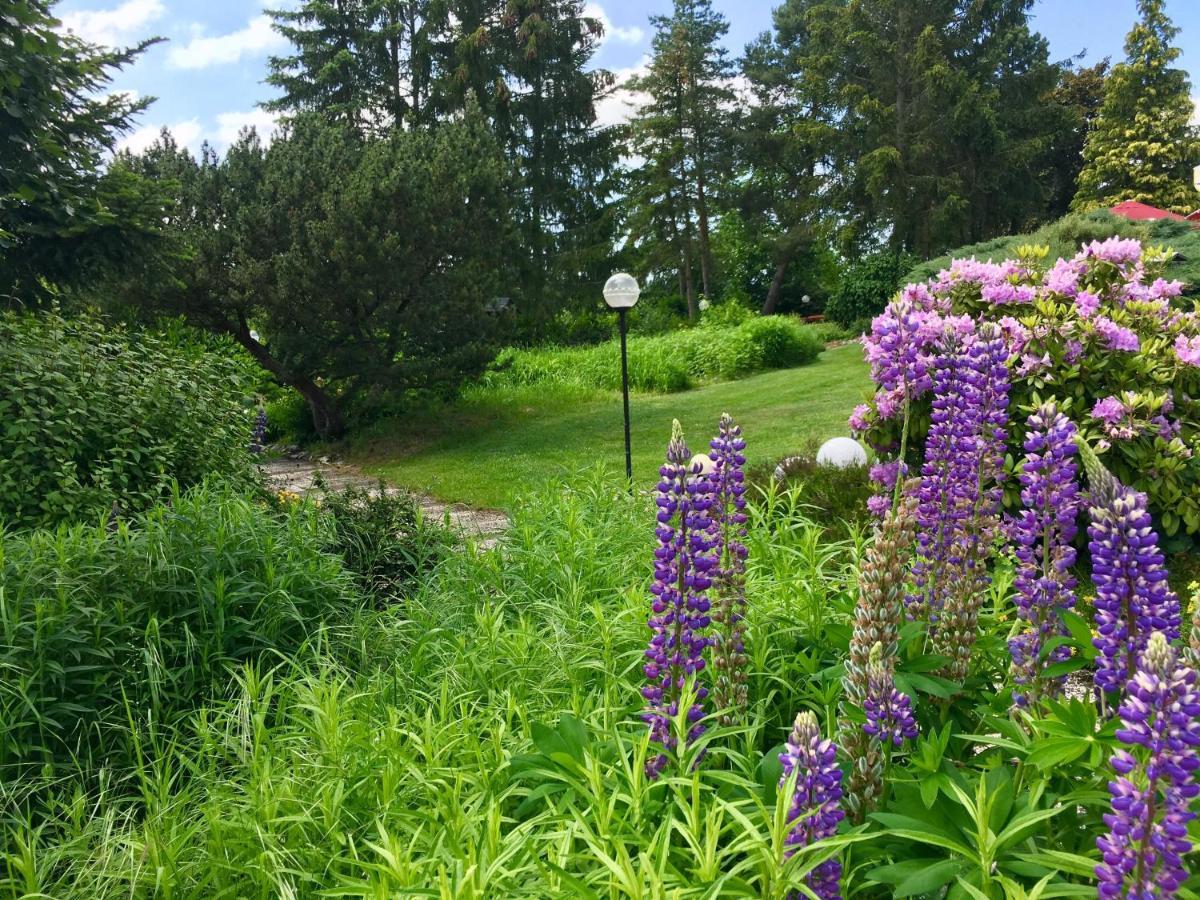 Landhotel Hubertus Unterelsbach Dış mekan fotoğraf
