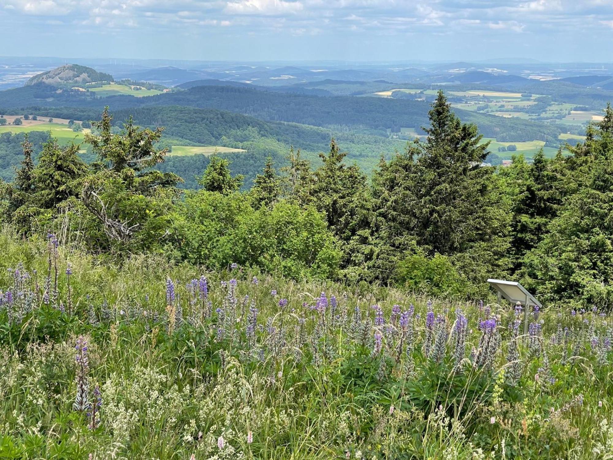 Landhotel Hubertus Unterelsbach Dış mekan fotoğraf