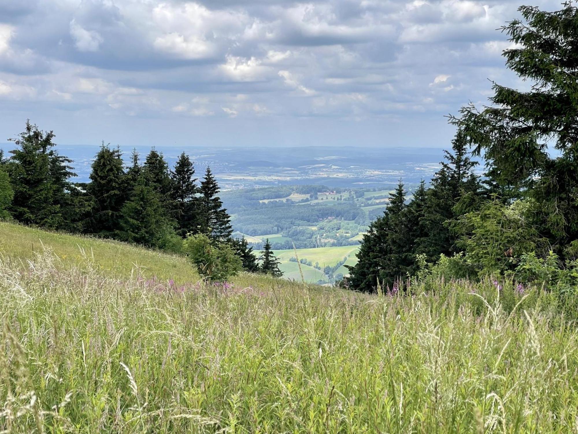 Landhotel Hubertus Unterelsbach Dış mekan fotoğraf