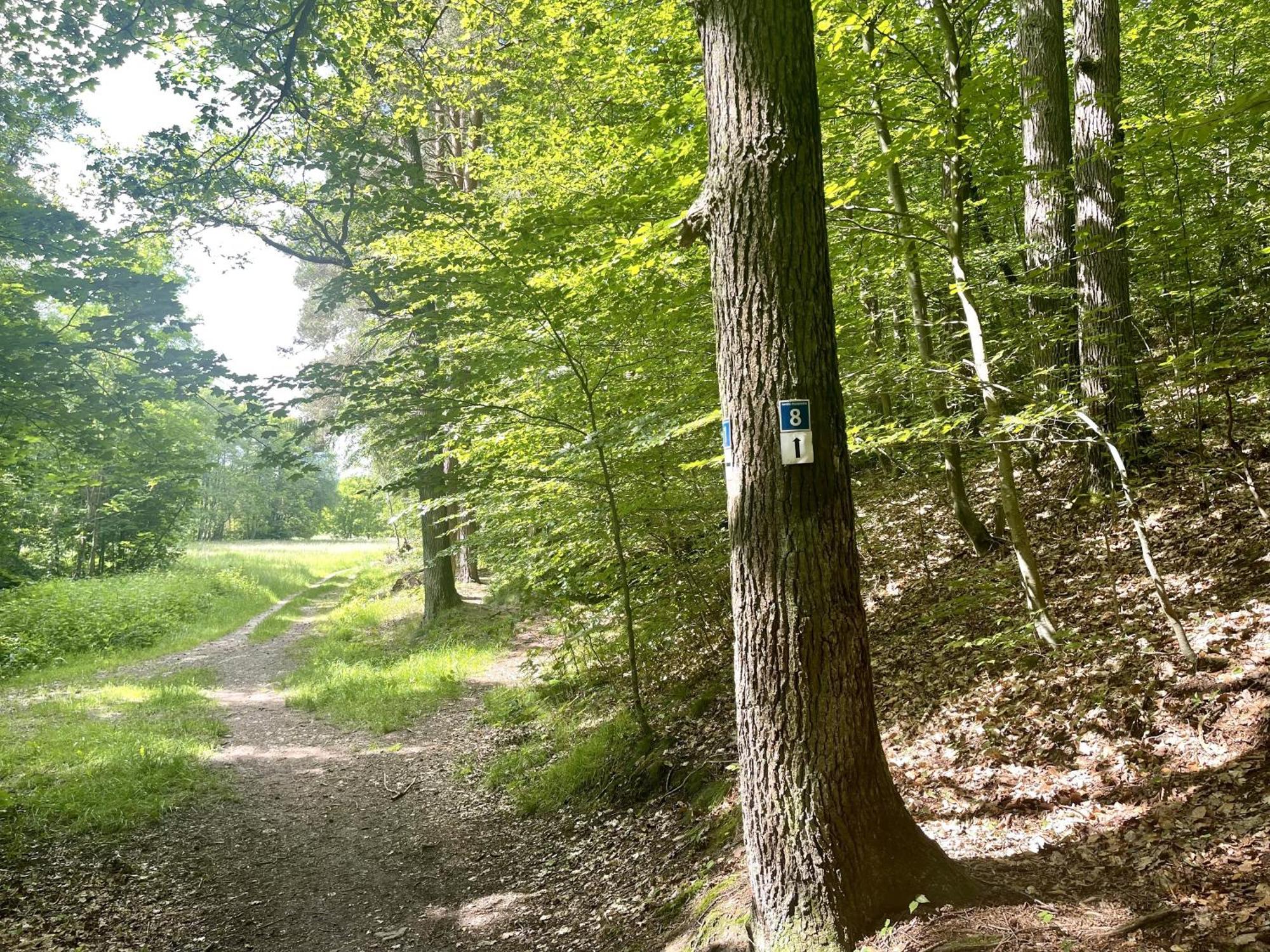Landhotel Hubertus Unterelsbach Dış mekan fotoğraf